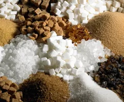 RawCaneOrganicPowdered1